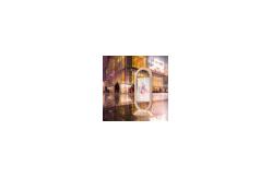 China 55 Self Emission Transparent Oled Display Module 62.52W Advertising supplier