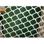 HDPE Extruded Plastic Netting Hexagonal Hole Wire Mesh Fencing For Chickling for sale