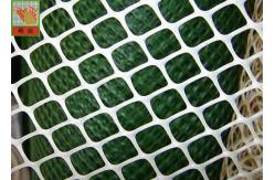 China HDPE Extruded Plastic Netting Hexagonal Hole Wire Mesh Fencing For Chickling supplier