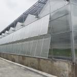 Agricultural Venlo Multi-span Polycarbonate Sheet Automated Greenhouse For Seeding for sale