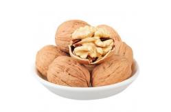 China Walnut supplier origin direct direct price concession support ODM/OEM xin33 supplier