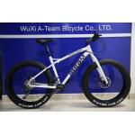 China Custom Chromoly 8 Speed Fat Tire Bicycle 700C Steel manufacturer