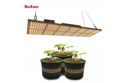 China 2x2 3x3 4x4 Quantum Horticulture LED Grow Lights With PWM Controller supplier
