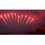 1.3g Festival Single Row Fireworks Salute Pyrotechnics 10 Shots Chinese Fireworks for sale