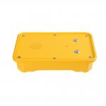Analogue SIP GSM Weather Resistant Telephone With Two Buttons