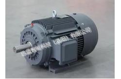 China Custom Torque AC Dynamometer For Electric Auto supplier