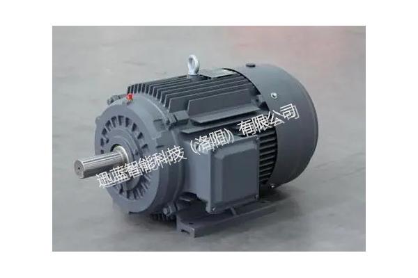 Custom Torque AC Dynamometer For Electric Auto