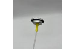 China Silver Metered Valve /  Inverted Use  Spray Rate 120mcl Ensures Universal Compatibility supplier