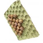 Kiwi Paper Moulded Pulp Trays Disposable Fruit Packaging Tray Liners Supplier for sale