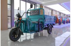 China New Model Electro Tricycle 3 Wheel Motorized Popular Adults Cargo supplier