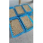 250KN Clamping Force APG Process Machine For Professional And Durable Epoxy Resin Production for sale