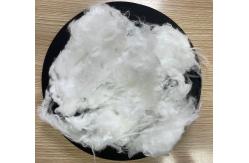 China Polytrimethylene Tereph Thalate Fiber 100% PTT Fiber 1.5D 38mm supplier