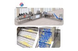China Streamline Your Manufacturing Process with Our Advanced Fruit And Vegetable Processing Line supplier