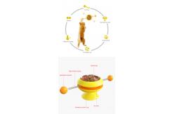 China Catnip Ball Gyro Interactive Pet Toys Rotating Windmill Cat Toy ABS Turntable Function supplier