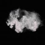 Non Siliconized Regenerated Conjugated Polyester Fiber 64mm Hollow Fiber