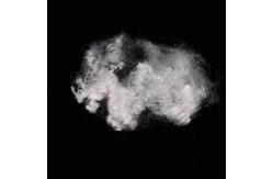 China Non Siliconized Regenerated Conjugated Polyester Fiber 64mm Hollow Fiber supplier