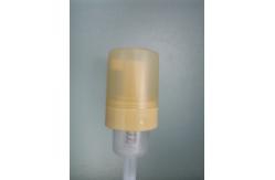 China Minin Bottle Head Brushed Stainless Steel Foam Pump With Clear Overcap supplier