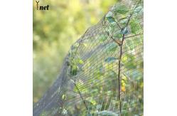 China 1m - 500m Vineyard Bird Netting Anti UV Bird Netting For Tomato Plants supplier