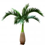 Plastic Leaves Decorative Artificial Bottle Palm Tree For Shopping Center for sale