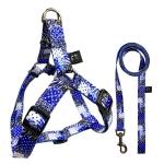 Nylon Fashion Dog Harness Leash Collar Set Custom Pattern Line Style for sale