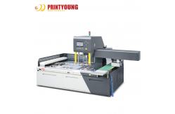 China PRY-1080TR Automatic Paper Waste Stripping Machines with Rotary Head & Robot Arm supplier