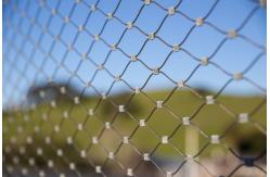 China Custom Made 304 Silver Stainless Steel Zoo Mesh For Animals Leopard Protection supplier