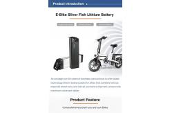 China 36V 48V 17ah 20ah Ebike Battery Pack Lithium Ion 10S4P 40pc Cells supplier