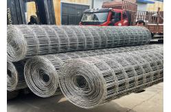 China Galvanised Mesh Roll For Rabbit And Chicken Netting 30m 50m Length supplier