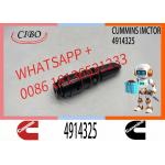 NT855 NTA855 NT855-C280S10 Diesel Fuel Injection Pump Fuel Injector 4914308 4914325 4914328 for sale