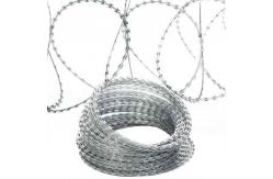 China 500 M Barbed Galvanised Razor Wire Anti Climb Bird Protective supplier