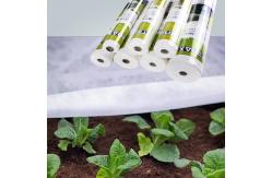 China Air Permeable PP Non Woven Fabric For Frost Protection Blanket Crop Cover supplier