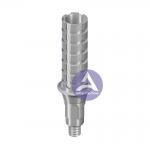 ITI Straumann Bone Level® Temporary Tooth Implant Titanium Abutment Compatible  NC 3.1mm/ RC 4.1mm (Hex & Non-Hex) for sale