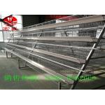 Hot Galvanized Poultry Manure Removal System 5 Tiers Intelligent  Control for sale