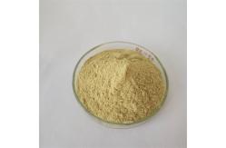 China Hot Sale Rhubarb Root Extract For Natural Pigment supplier