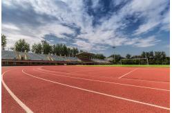 China Outdoor Athletic Running Track Playground Customisation Jogging Track Material supplier