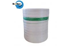 China Good Price Multi-Colored HDPE High Density Round Hole Mesh for Grassland supplier