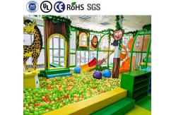 China EN ASTM Children Adventure Park Indoor Playground Jungle Gym Ball Pool Slide supplier