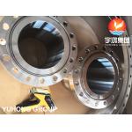 ASTM A182 F310 STAINLESS STEEL WLEDING NECK FORGED FLANGE RTJ B16.5 for sale