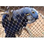 Hand Woven Aviary Wire Netting Inox Line Customized 7x7 / 7x19 Structure for sale