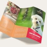 ISO9001 Flyer Design And Print Custom Color Professional Flyer Printing for sale