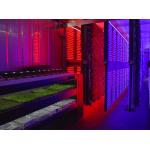 High Intensity LED Grow Lights White 120° Beam Angle 100W Full Spectrum LED for sale