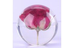 China Custom clear epoxy real flower specimen acrylic dandelion paper weight supplier