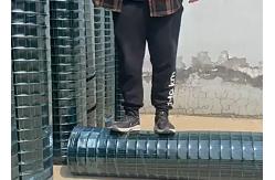 China Custom PVC Plastic Coated Welded Wire Mesh For Fence Electro Galvanized supplier