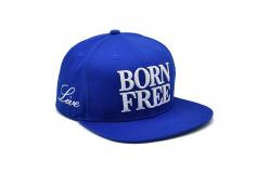 China Custom Embroidery Logo 6 Panel Cotton Snapback Hats Unstructured Flat Bill Snapback Caps supplier