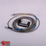 PR6423/010-010 CON021  EMERSON  PLC  Module