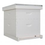 Pine Wood 10 Frame Langstroth Beehive OEM UV Painting for sale