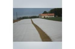 China Spunbond Nonwoven Floating Row Cover For Cold Weather Freeze Protection supplier