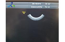 China GE E8C-RS Ultrasound scanner Probe Electronic Diagnostics For Obstetrics Gynaecology supplier