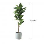 Natural 120cm Height Pandurata Artificial Ficus Tree Landing Plant for sale