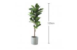 China Natural 120cm Height Pandurata Artificial Ficus Tree Landing Plant supplier